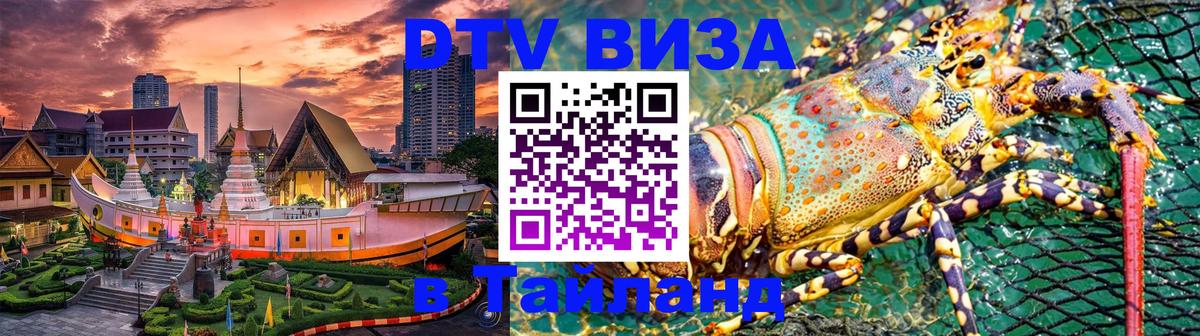 Оформление DTV визы под ключ: стоимость и тарифы, только загранпаспорт - 05.12.2025 